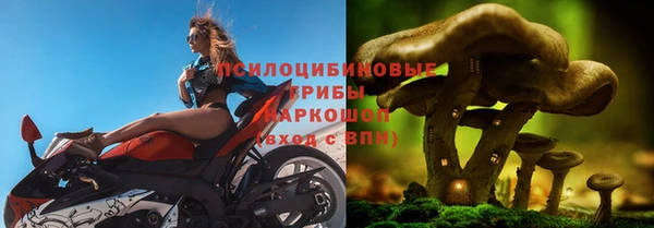 соль ск Алексеевка