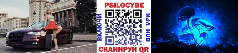 Галлюциногенные грибы Psilocybe Куровское