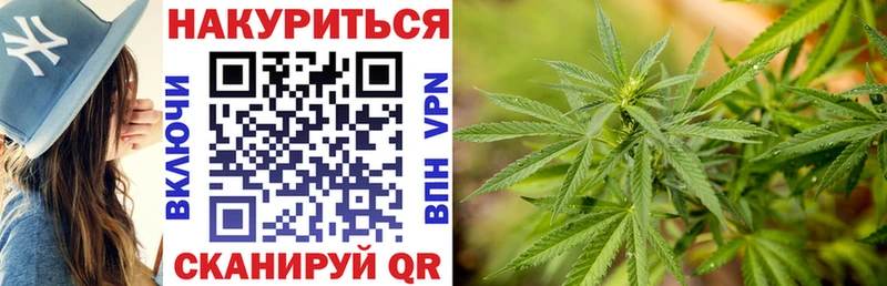 Конопля семена  mega сайт  Куровское 
